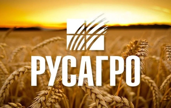 Ковальчуки через Деметра холдинг получили контроль над Русагро