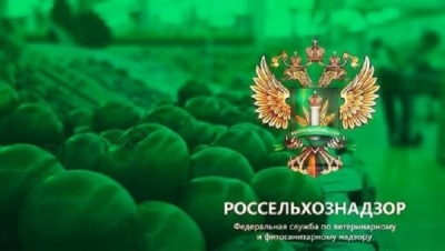 &laquo;Мультифел&raquo; от &laquo;Ветбиохима&raquo;: кошки сгорают за считанные часы