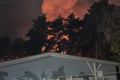 В зоопарке Новосибирска во время пожара погибли свыше десяти животных